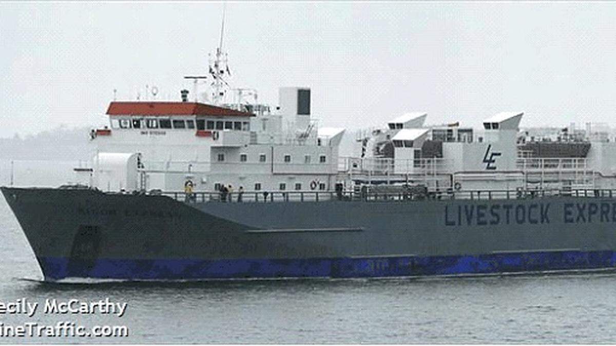 About 1,800 head of dairy cattle will be loaded onto a ship at the Port of Olympia over the next two days, the port announced Wednesday.