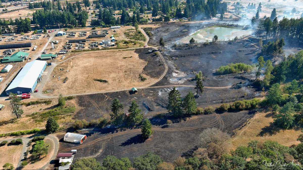 About 8-10 acres burned near Case Road and 180th Avenue Southwest just north of Grand Mound on Monday, Aug. 11, 2025. Firefighters with West Thurston Fire Authority and several assisting agencies contained the fire and protected nearby structures.