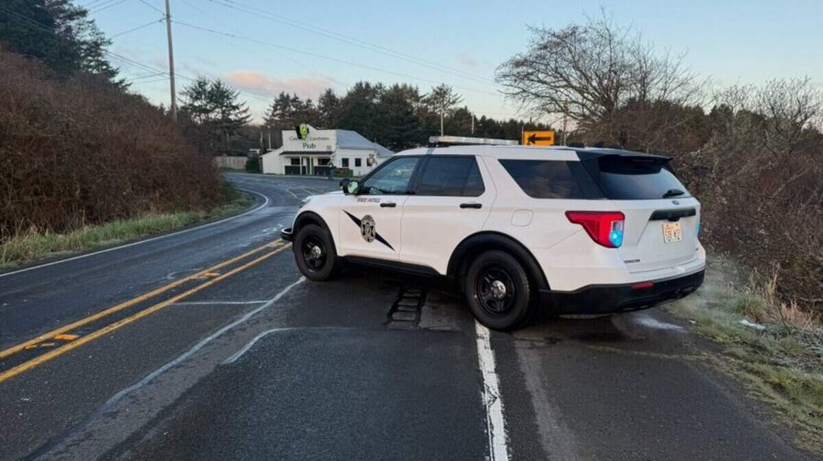 Grays Harbor County man killed in overnight crash | The Olympian