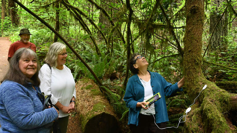 ‘Hearing trees sing.’ Olympia woman helps people listen to the vibes of old-growth forests