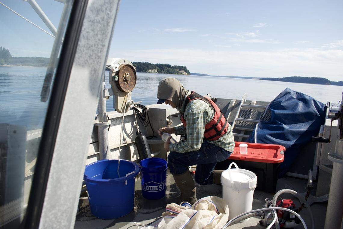 Person labels container on a boat surrounded by buckets