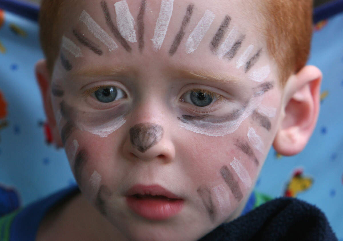Three-year-old Skyler Perrotti wears zebra face paint as he prowls 2013 Arts Walk with his parents, Jessica and Sean Perrotti of Olympia.