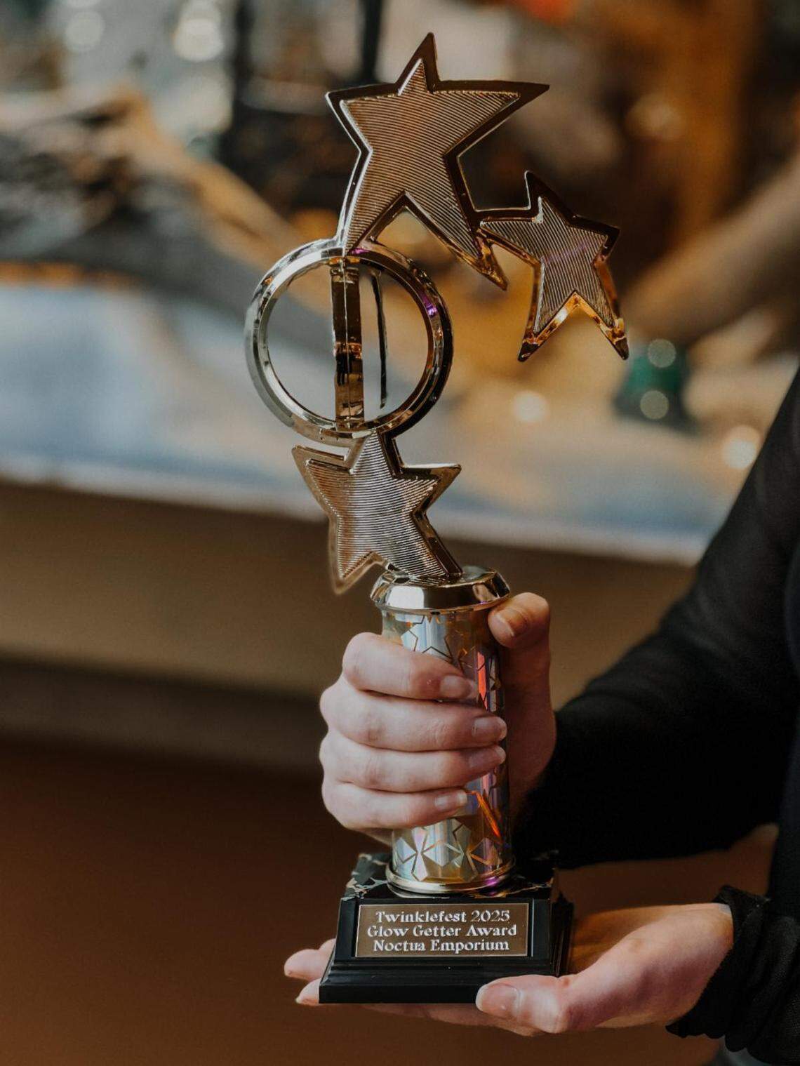 The downtown business Noctua Emporium was named the Twinklefest 2025 Glow Getter for its holiday window display.