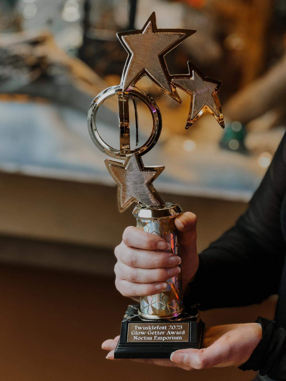 The downtown business Noctua Emporium was named the Twinklefest 2025 Glow Getter for its holiday window display.