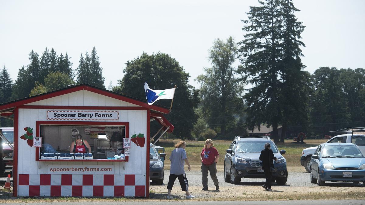 The city of Olympia is considering buying land leased to Spooner Berry Farms along Yelm Highway Southeast to turn into a city park.