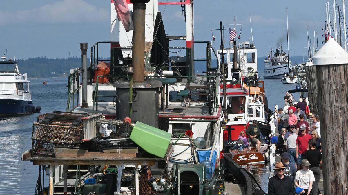 In what Harbor Days executive director Megan Diment described as a special, “all in” race heat, tugboats of all shapes and sizes fired off the race course in Budd Inlet during the 52nd Olympia Harbor Days festival along the Olympia waterfront on Sunday Aug. 31. Final race results showed the tugboat the R.W. Confer taking first, Creosote second, Deborah Ann third and Atka fourth.