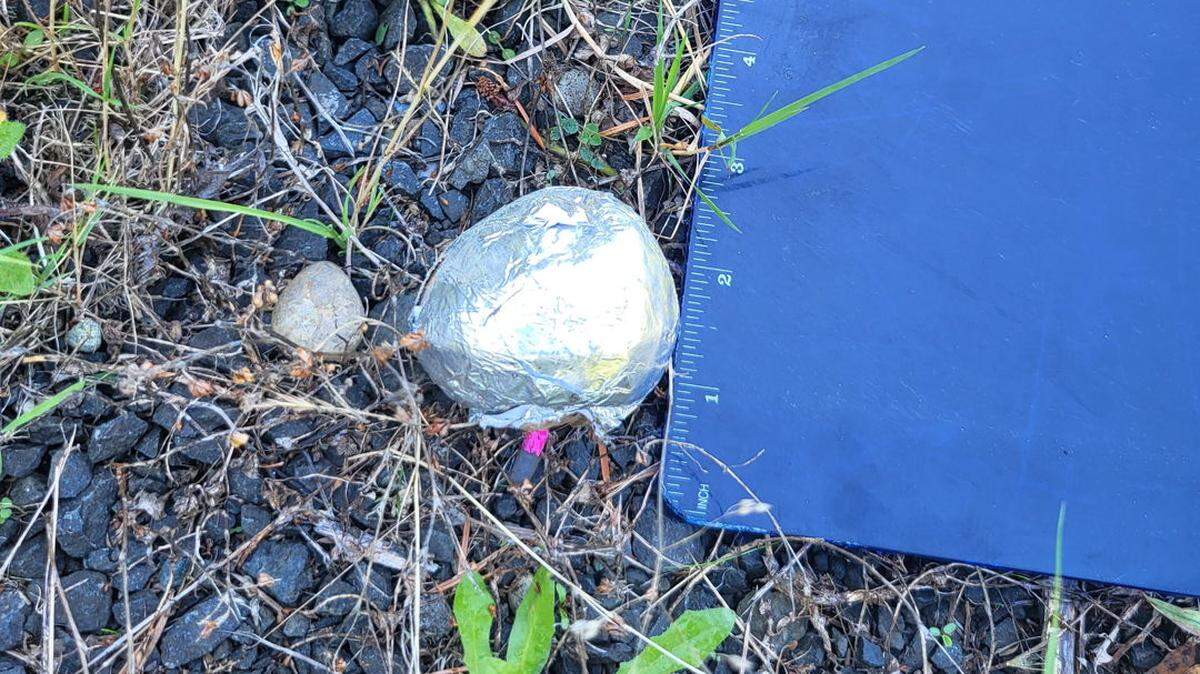 The Washington State Patrol bomb squad responded to investigate and conducted a controlled detonation to render the explosive harmless.