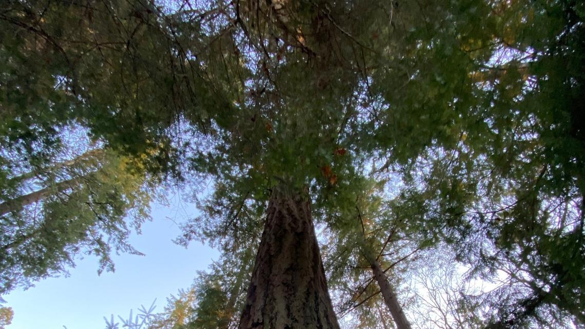 Letters to the editor for April 29