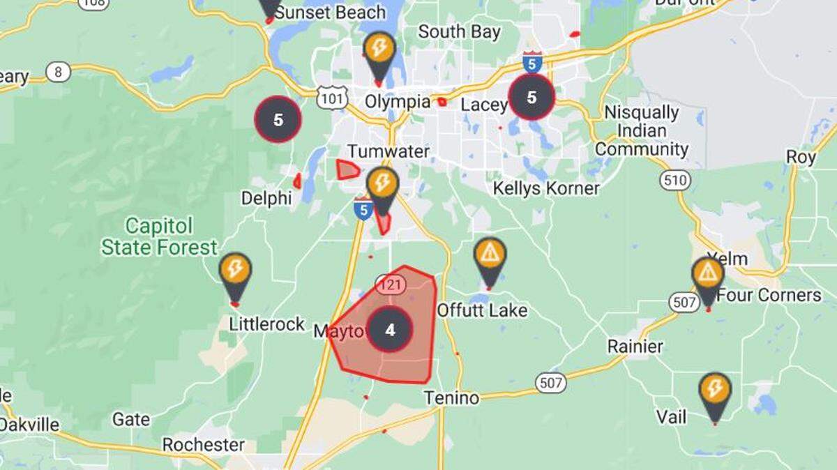 Hundreds were without power Sunday morning in Thurston County after strong overnight winds blew through the area.