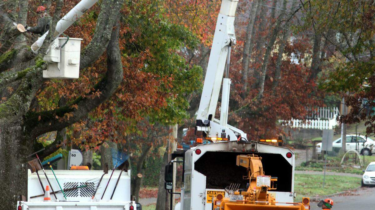 A section of Legion Way Southeast near Madison Elementary School will be closed Monday for tree maintenance.