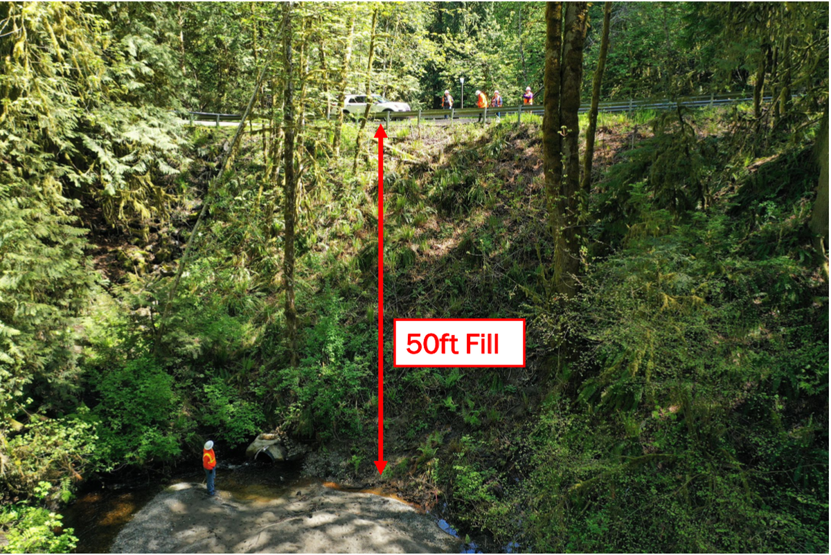 A person stands at the bottom of a 50-foot tall embankment supporting Country Club Road Northwest in Thurston County. The culvert at the bottom of the embankment started collapsing in 2021.