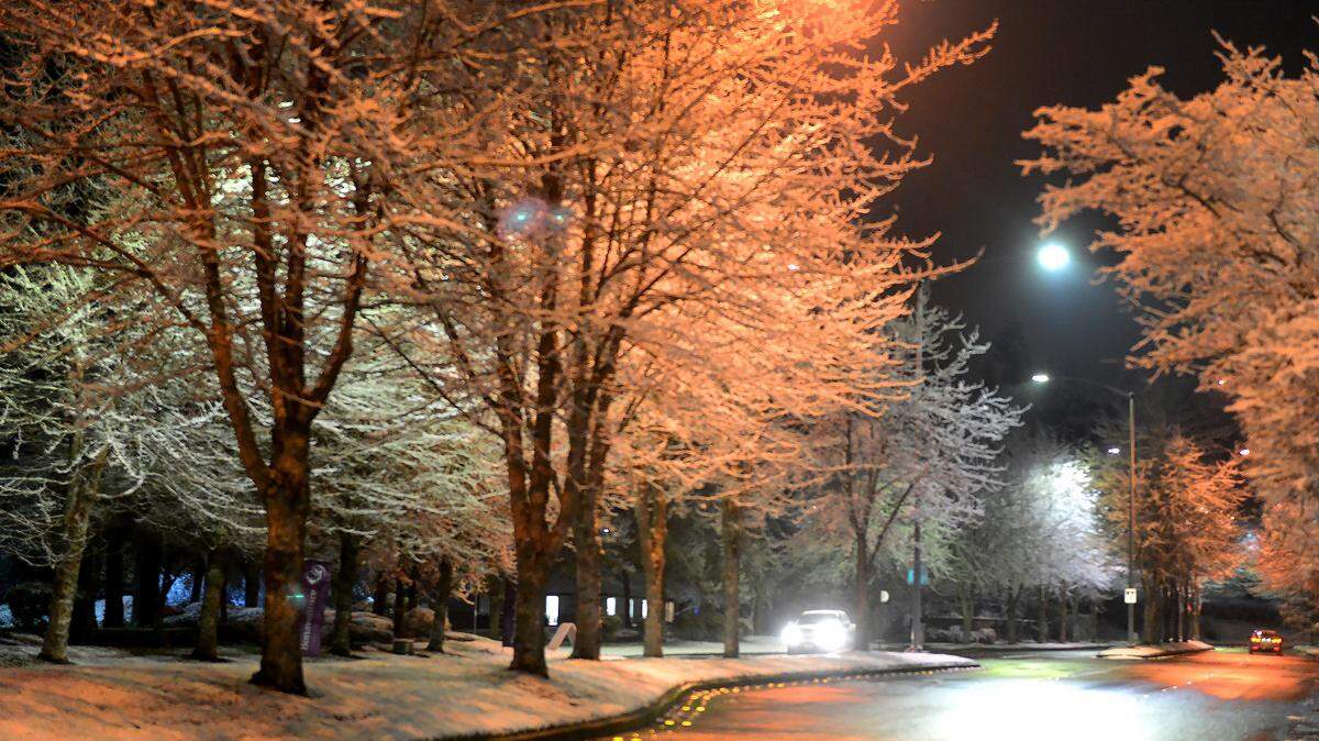 Overnight snow created a picturesque winter scene along Corporate Center Dr. SE in Lacey early Tuesday.