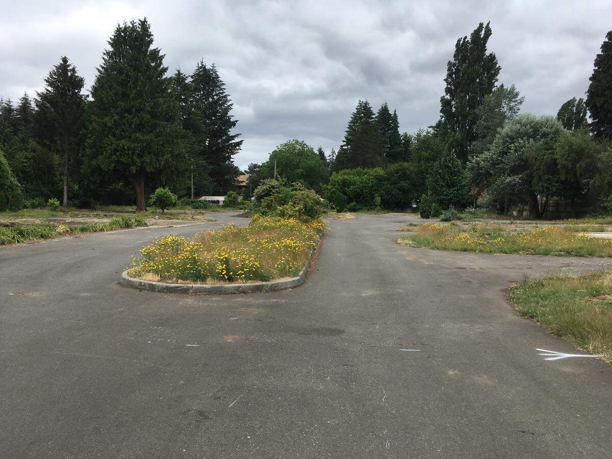 The senior retirement community, Panorama, wants the city to rezone this former mobile home park on Golf Club Road Southeast. It could construct an apartment building up to 80 feet tall.