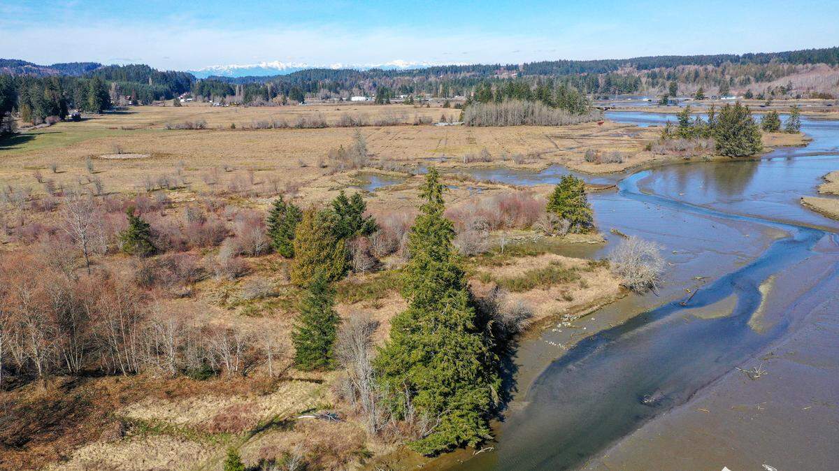 Capitol Land Trust secured two properties along the Eld Inlet, totaling 45 acres of bird, elk, bear and salmonid habitat. The area mixes freshwater with saltwater, creating an ecosystem that conservationists have been aiming to protect.