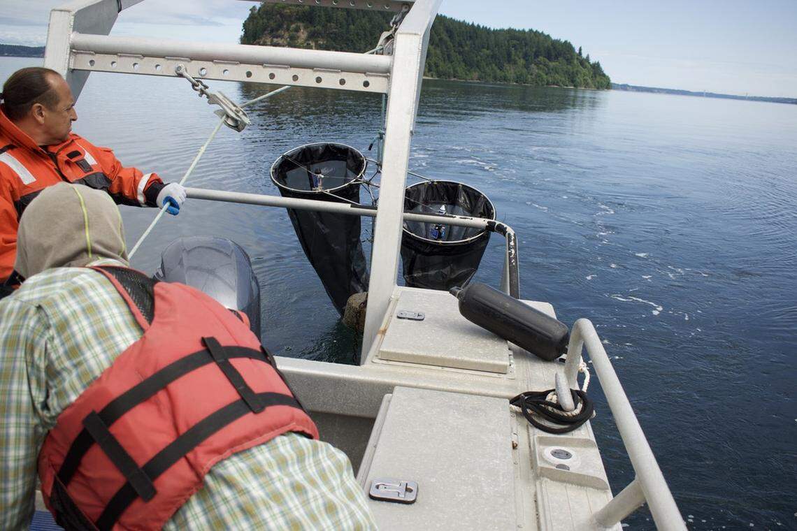 Two people raise two nets out of the water onto a boat
