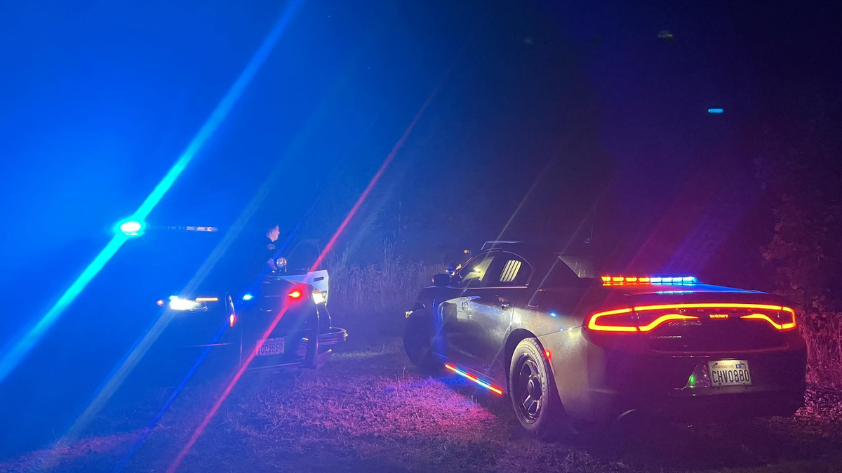 Thurston County deputies responded to a helicopter crash in the Summit Lake area the night of Wednesday, Sept. 17, Sheriff Derek Sanders said in a Facebook post. This image accompanied the post.