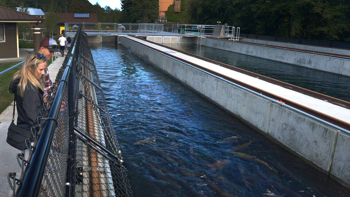Trespassing and illegal fishing prompts warning for Tumwater Falls area