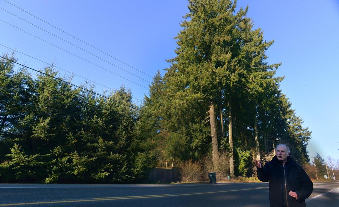 Lawrence Jacobson and his wife Clara are petitioning Thurston county to create a “Natural Landmark Program” which allows small land owners to register natural landmarks on their property for preservation. The couple wants to protect a grove of century old trees on their Case Road SE property. Photo taken Jan.27,2022