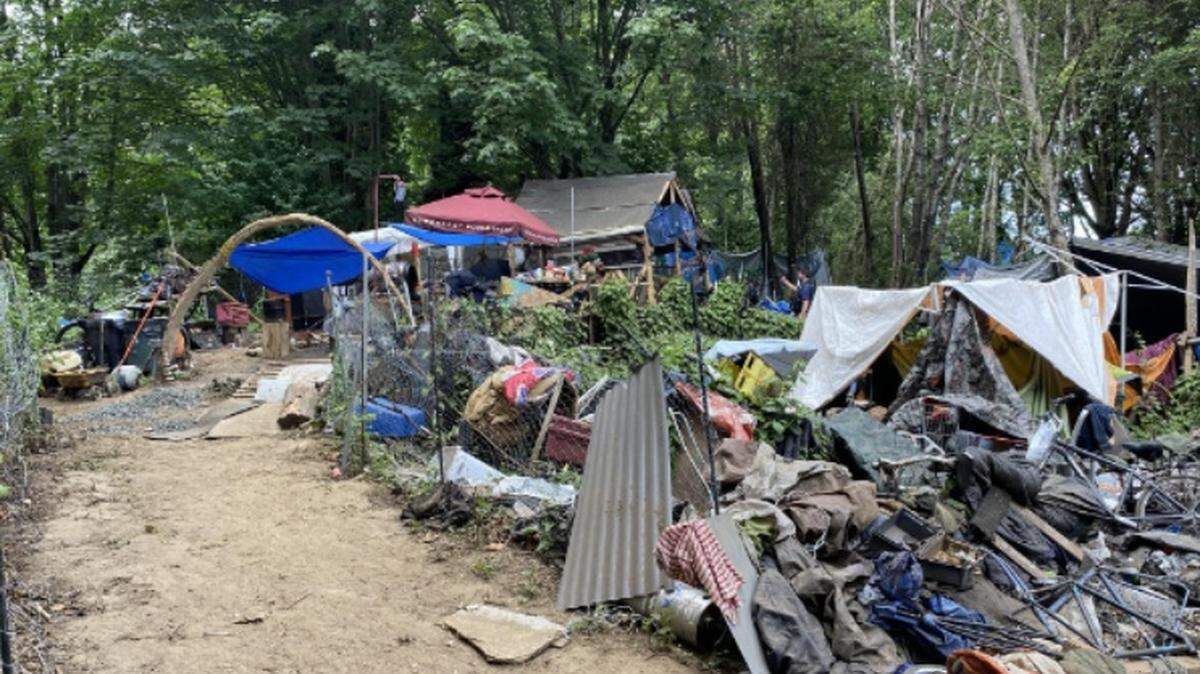 An interior view of the “Jungle,” a homeless encampment in Olympia between Martin Way East and Pacific Avenue Southeast near Interstate 5.