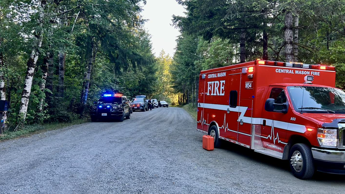Mason County deputies arrested Jamie Nicole Brown, 42, on suspicion of murder after finding her in a car with dead baby on July 1 near East Catfish Lake Lane and Marjorie Lane in the Shelton area. The Mason County Sheriff’s Office shared a photo from the scene on Facebook.
