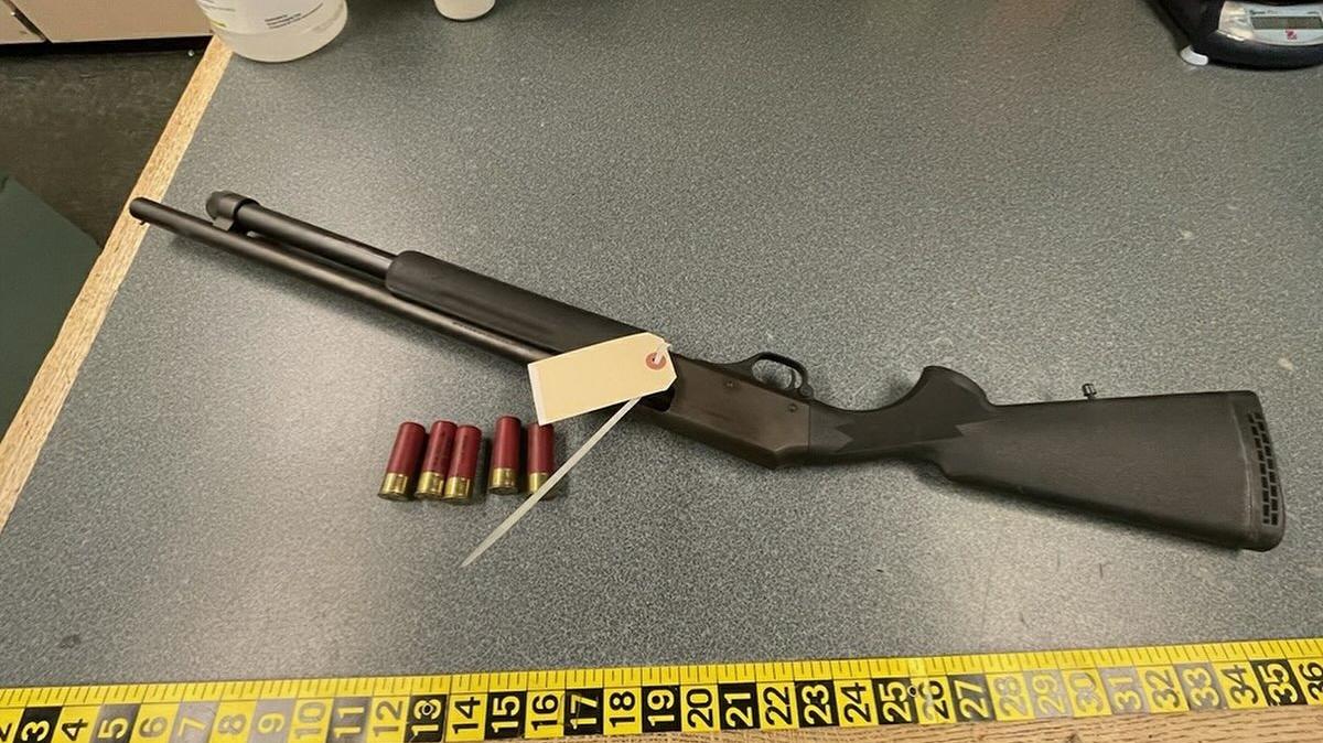 A shotgun was removed from the scene of a domestic violence incident in Lacey on Sunday.