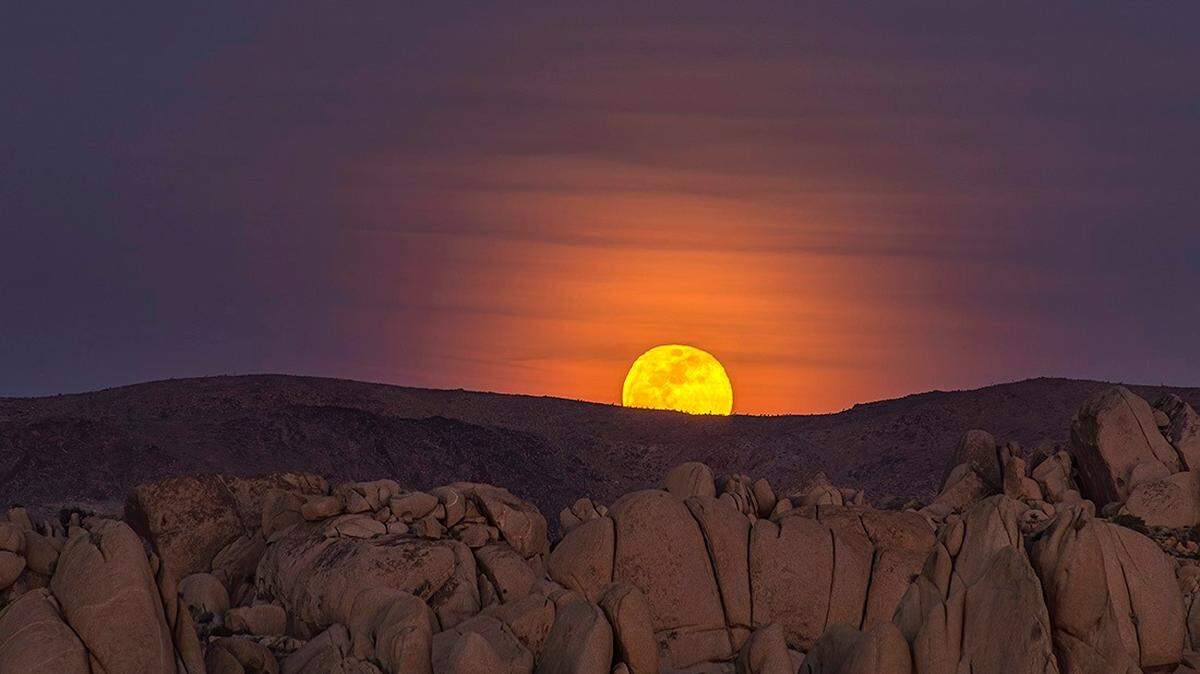 A moonrise over Joshua Tree National Park.