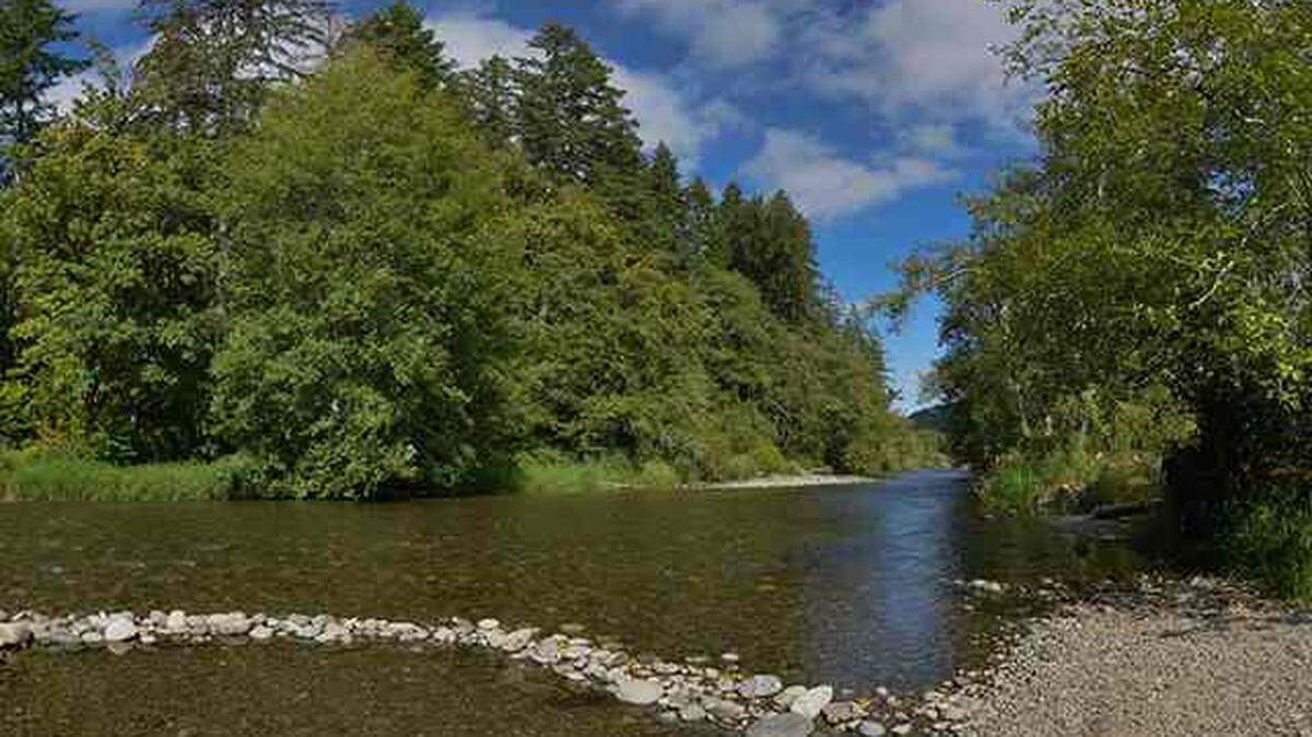 Schafer State Park is a 119-acre camping park on the Satsop River, midway between Olympia and Ocean Park. The Washington State Parks Department has nearly doubled the number of camping spaces in preparation for the park’s 100th anniversary.
