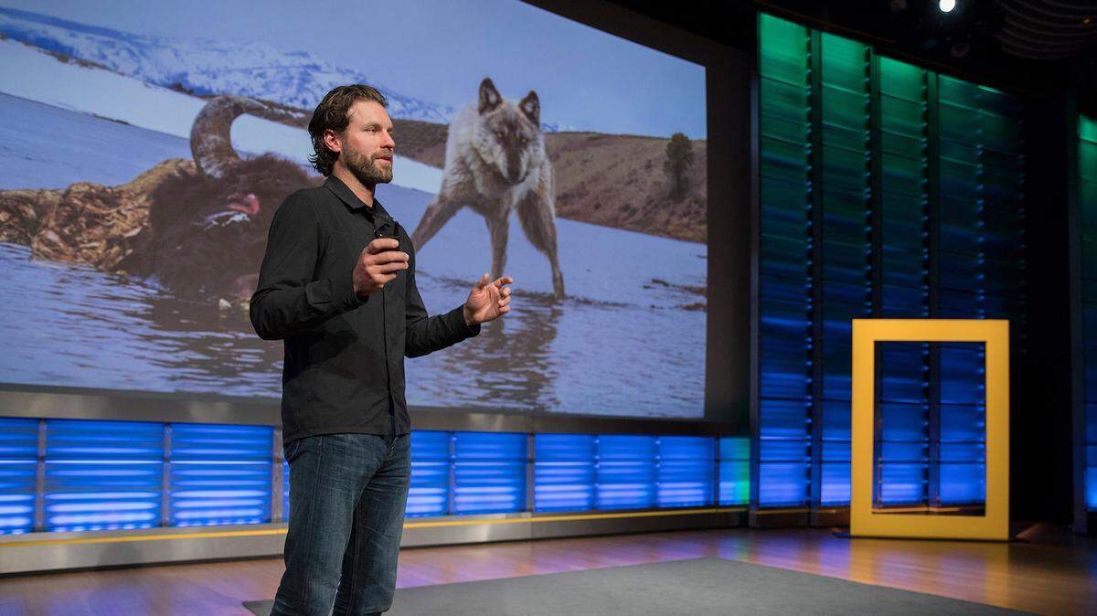 Ronan Donovan of Bozeman, Montana, began documenting the lives of social animals in 2011. He will speak in Olympia on Saturday afternoon as part of the National Geographic Live series.