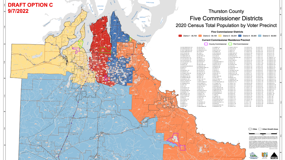 A map of Option C showing potential districts for expanded Thurston County and Port of Olympia commissions. Option C is one of two options that a redistricting committee moved forward for review Friday. Voters will decide in November whether to approve expanding the county and port commissions from three members to five.