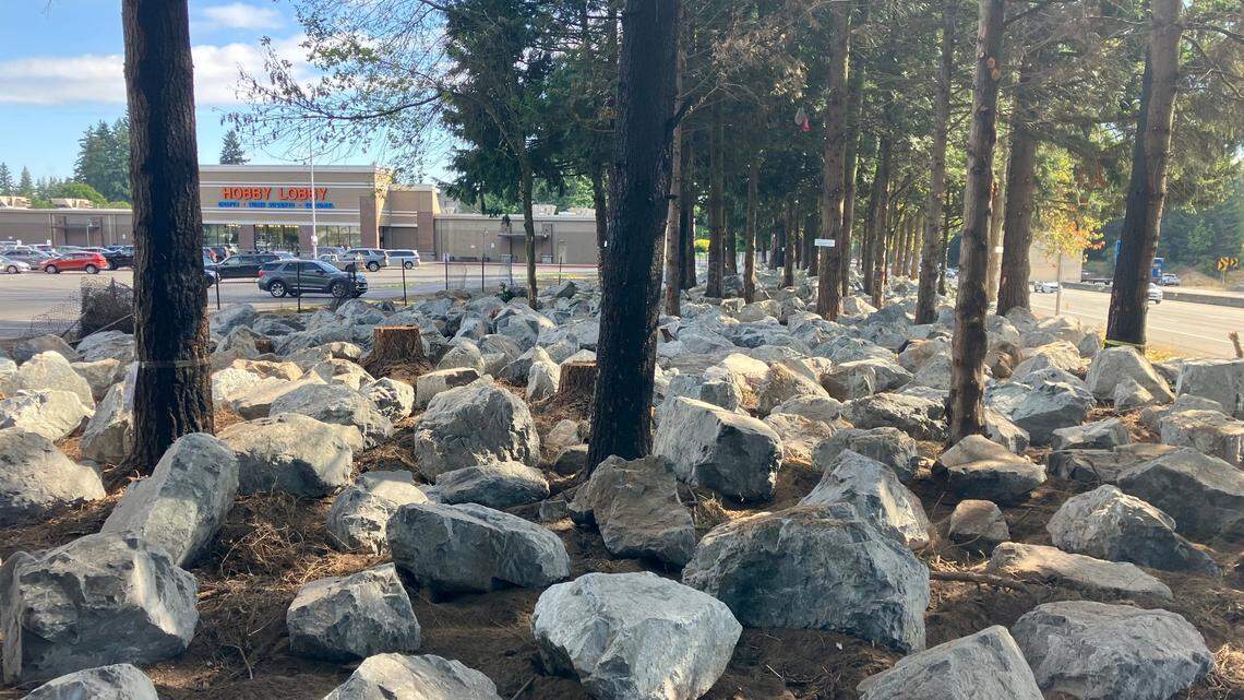 Hundreds of boulders fill space previously occupied by a homeless encampment between southbound I-5 and the Hobby Lobby store in Olympia. Photo published Sept. 13, 2023 by The Olympian.