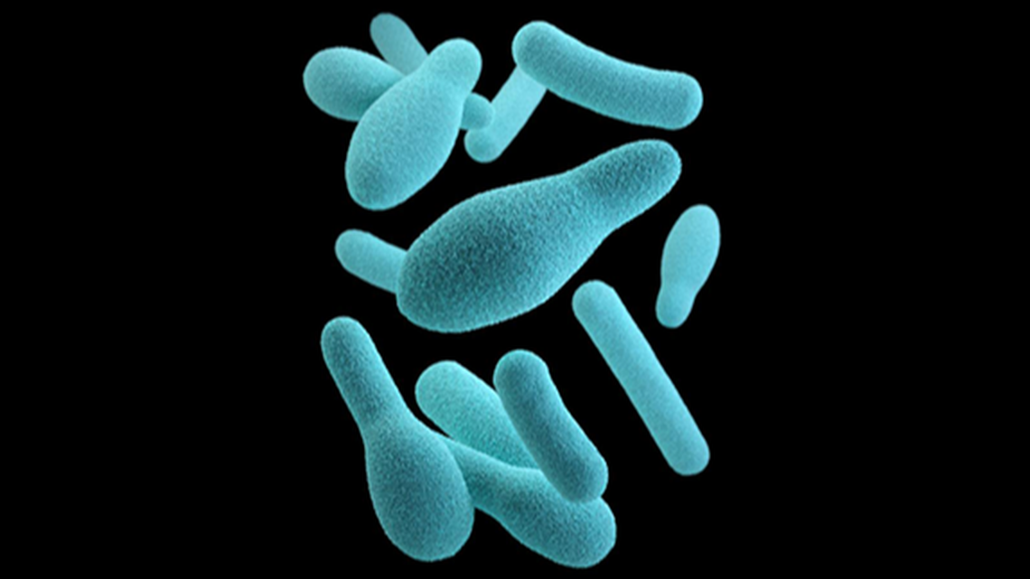 Botulism is a serious illness caused by a toxin that can attack the body’s nerves, sometimes causing death. The Grays Harbor County Public Health officials issued a warning on April 25, 2022, about home-canned foods and botulism after a man likely died from the illness.