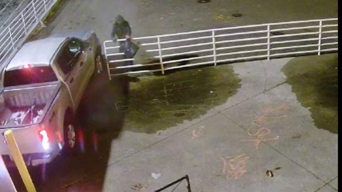 Lacey police are looking for two people and a stolen truck that was used as a ram in an attempted burglary Sunday morning at Coastal Farm & Home Supply off Martin Way.