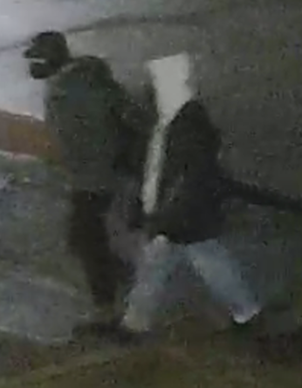 Local and federal investigators are asking the public for help identifying two people of interest pictured in blurry images. Authorities believe they may be connected to the fire that destroyed the Market Flats Apartment Complex on Dec. 15 in downtown Olympia.