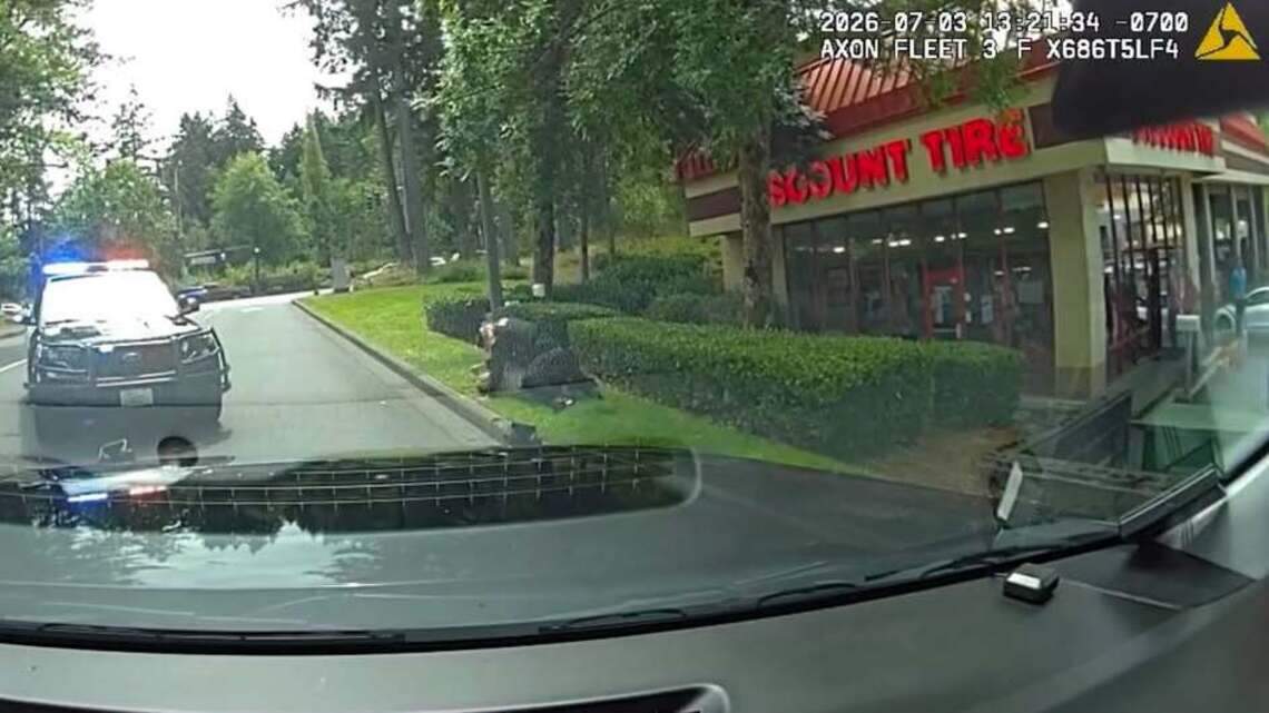 Man arrested after striking woman in head, placing deputy in headlock in Lacey