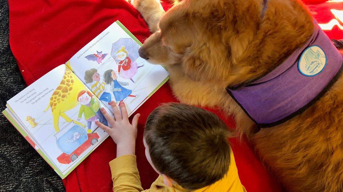 A boy reads to Reading Education Assistance Dog Chewbacca at the Olympia Timberland Library last year. They were part of a Paws to READ program.