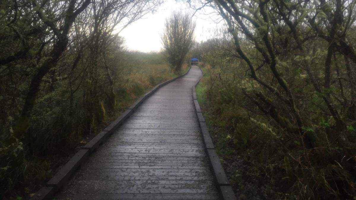 A woman's body was found at the Grays Harbor National Wildlife Refuge near Hoquiam on Sunday.