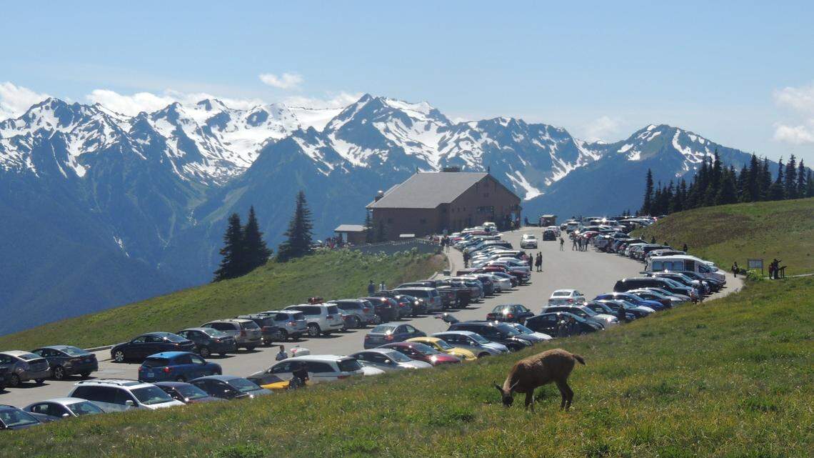 Olympic Forest may see greater federal protection due to Democrat-majority House