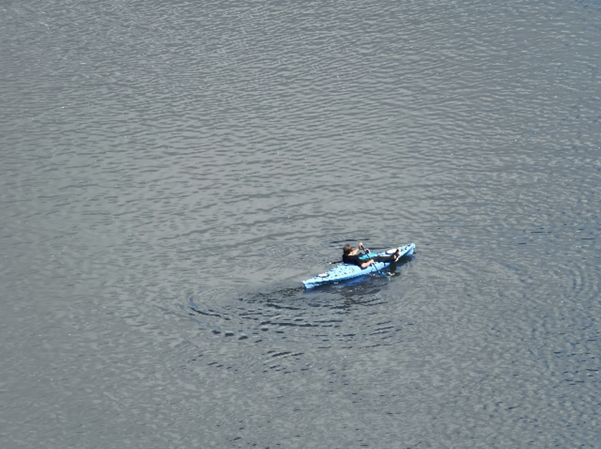 A 39-year-old Steilacoom man allegedly stole a blue kayak to flee from Centralia police on the Chehalis River. Multiple agencies followed the man from the sky and riverbank.