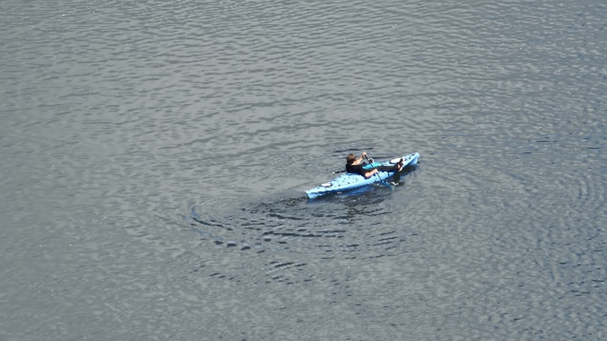 A 39-year-old Steilacoom man accused of car theft allegedly stole a blue kayak to flee from Centralia police down the Chehalis River. Multiple agencies followed the man from the sky and riverbank.
