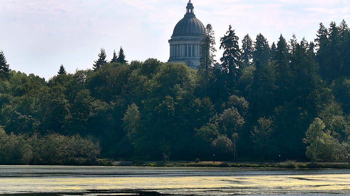 Lawsuit filed against WA parental rights overhaul, claims it’s ‘unconstitutional’