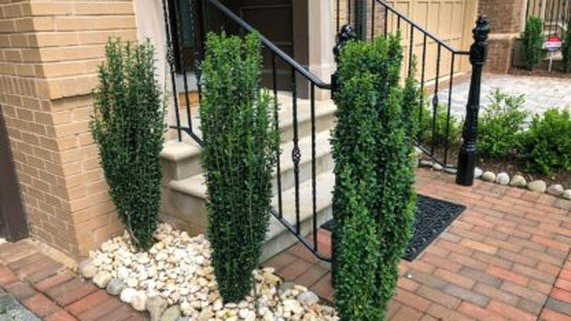 Have trouble spots in your PNW garden? Here’s what you should plant there