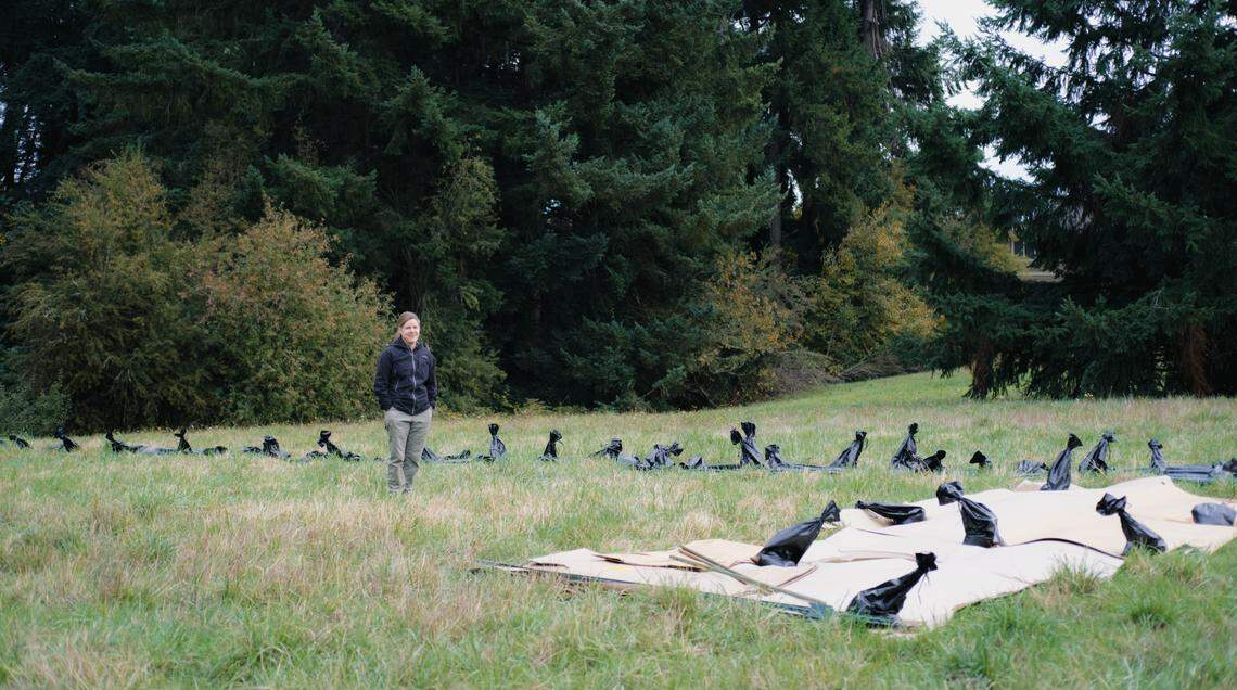 Laura Graham, 48, stands on farm plot on Oct. 13 near Olympia High School. Graham leased the plot from her neighbors so she could expand her small business Chickadee Farms PNW.