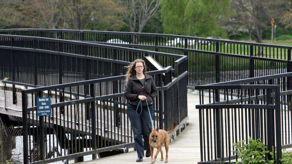 You won’t be able to walk around Capitol Lake during November bridge work