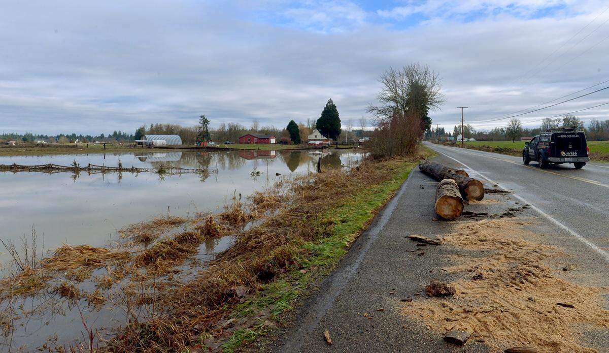 Floodwaters from the Chehalis River remain Monday and bear witness to the flooding’s power as large logs are stacked along Independence Road Southwest near Rochester.
