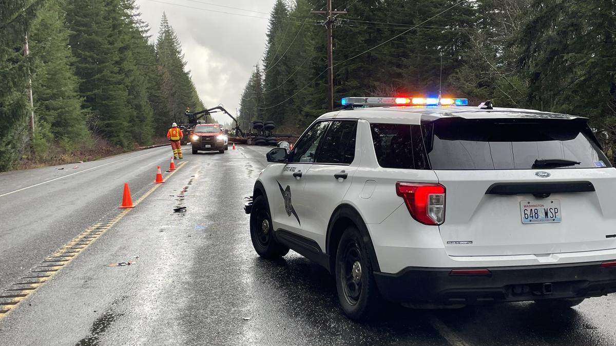 A 76-year-old driver was hit and killed by a log truck Friday morning on U.S. Highway 101 in Grays Harbor County, according to Washington State Patrol.