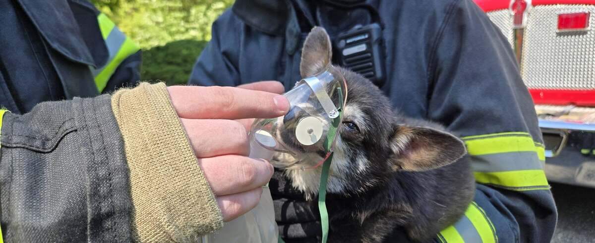 Several fire agencies responded to a residential structure fire on Sunday morning that displaced a family. The family’s dog was rescued from the home and had to be revived.