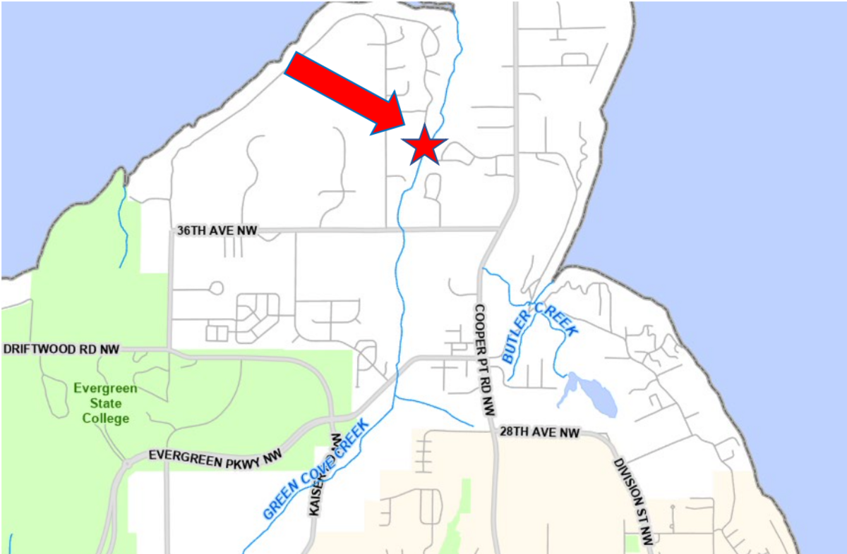 Thurston County officials are considering building a bridge where Country Club Road intersects with Green Cove Creek by the end of 2024. The site is about 2.5 miles north of Capital High School.