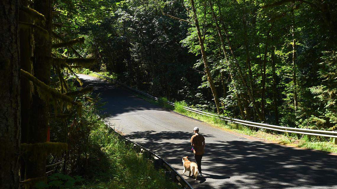 This Thurston County road will be closed for over a year to remove a fish passage barrier