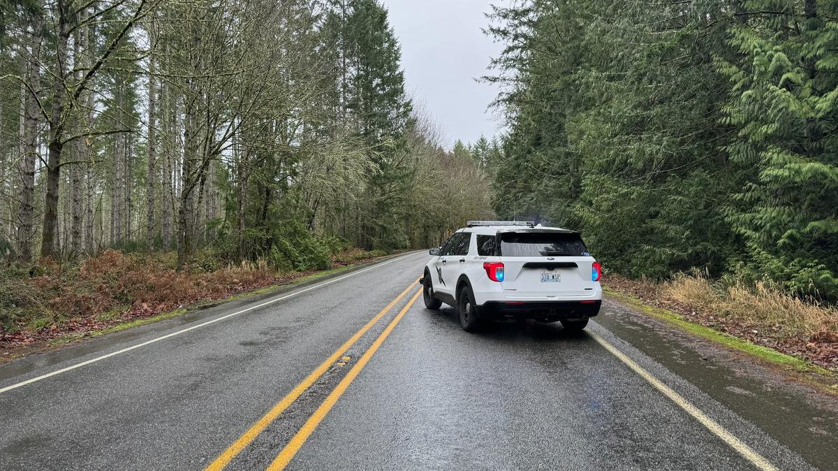 A Lewis County man was hurt and a King County man died after a wrong-way crash on state Route 7 in Pierce County Monday morning.