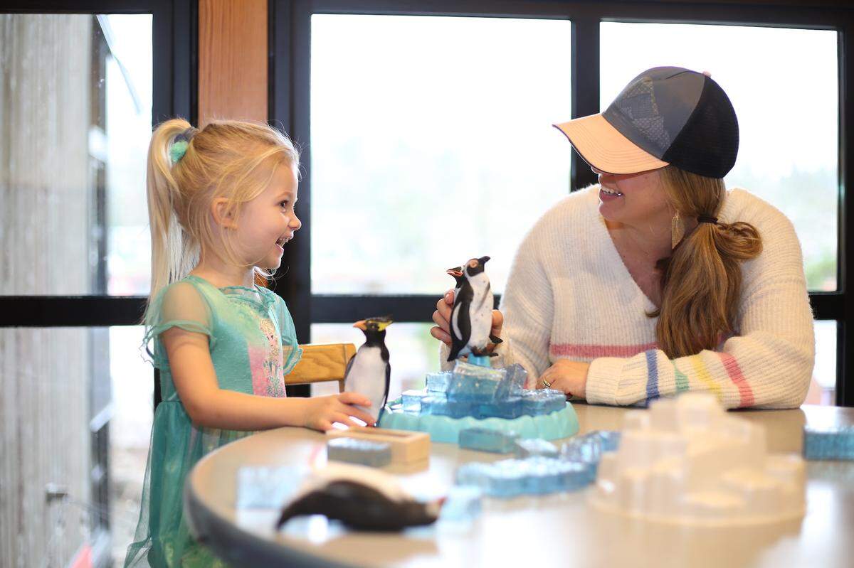 Kids can play with penguins at Hands On Children’s Museum’s Arctic Adventures.